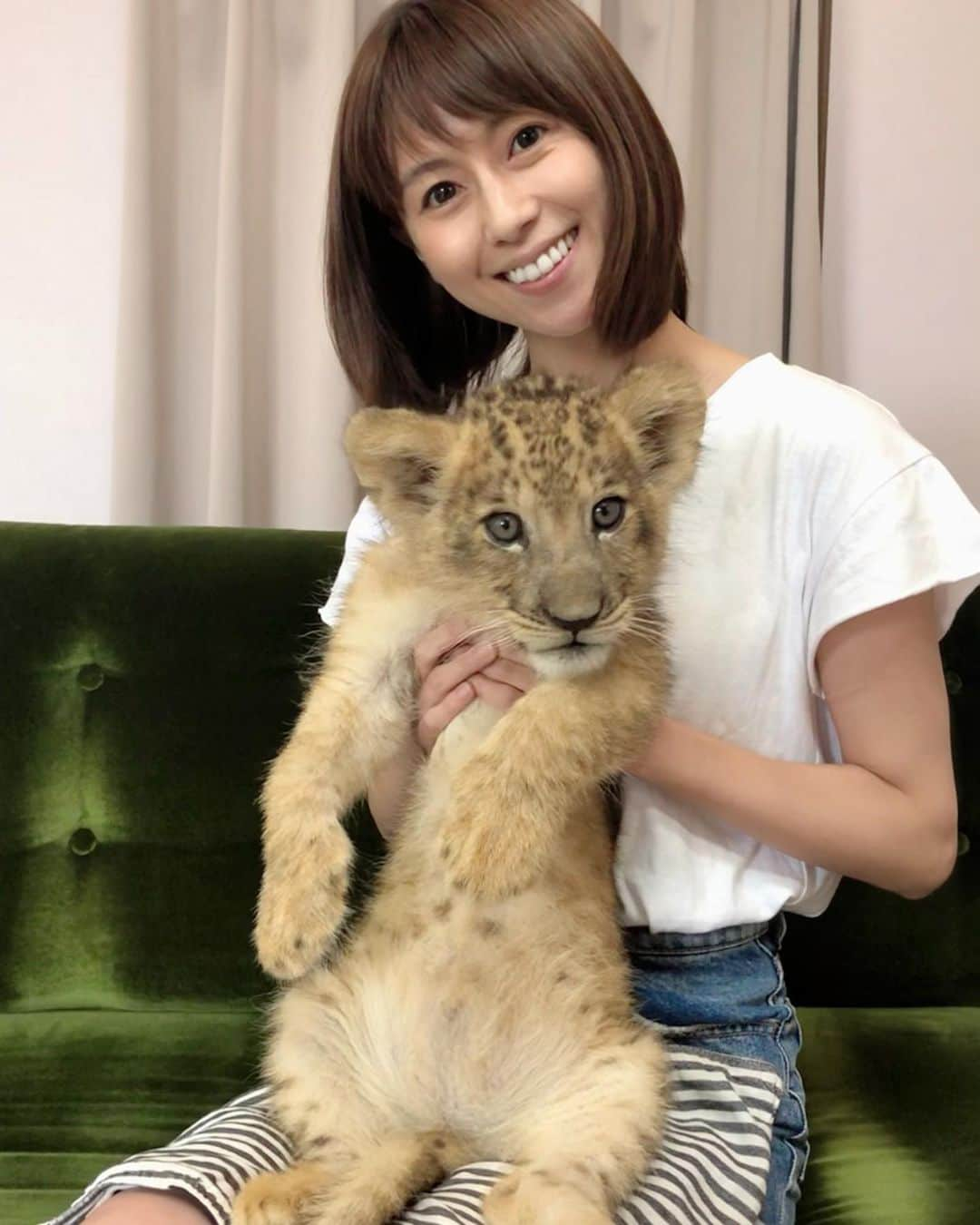 小坂温子さんのインスタグラム写真 - (小坂温子Instagram)「会えて良かった🐯🥰💓✨ #babybaby #サファリパーク  #アフリカンサファリ  #トラの赤ちゃん  #きゃわいすぎるやろ  #ありがとう 😍😍😍」8月14日 11時16分 - kosaka_atsuko