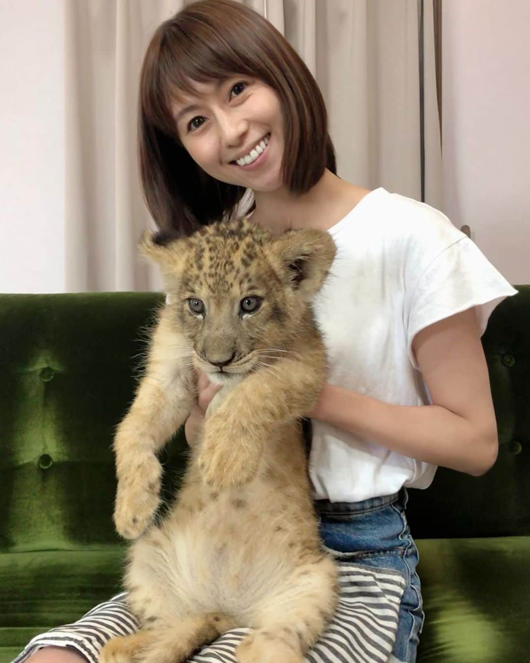 小坂温子さんのインスタグラム写真 - (小坂温子Instagram)「会えて良かった🐯🥰💓✨ #babybaby #サファリパーク  #アフリカンサファリ  #トラの赤ちゃん  #きゃわいすぎるやろ  #ありがとう 😍😍😍」8月14日 11時16分 - kosaka_atsuko