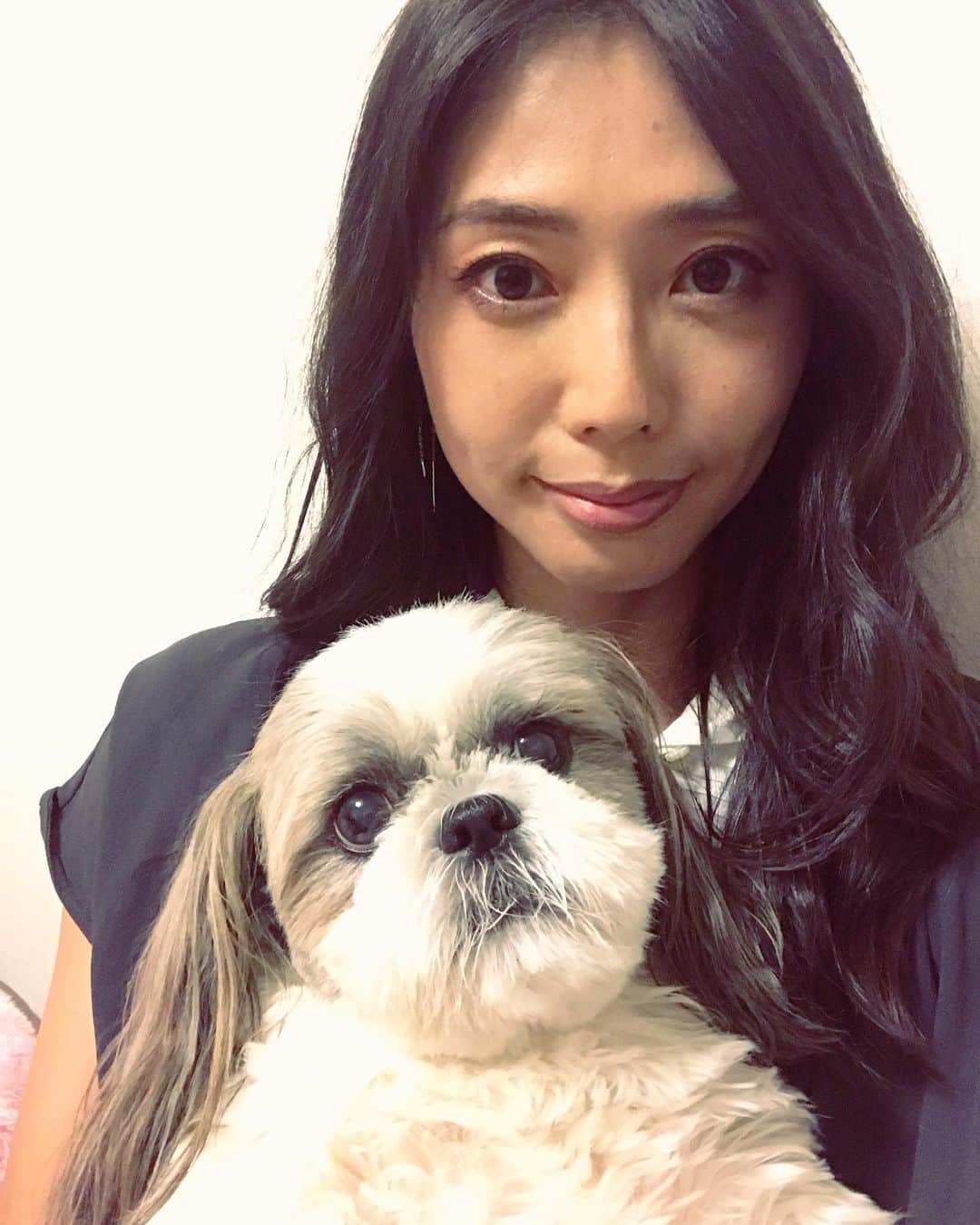 のインスタグラム：「【家族集合】 私と顔が似てきた父親を囲んで、すっぴん父親とそっくりやから笑える笑  静岡から戻ってきた妹夫婦と、夜ご飯まで家の片付けをしようと、思ってるけど、暑いから集中してできまへん😐  明日は台風で新幹線動かないって。帰省ラッシュなのに、大変やわ。  そんなこんなで、グタグタ中。  アイスでも食べようかな。 🍦🍦🍦🍦🍦🍦🍦🍦🍦🍦🍦 #shihtzu #shihtzus #shihtzusofig #shihtzusgram #shihtzulover #shihtzugram #シーズー #シーズー大好き部 #鼻ぺちゃ犬 #ミセスモデル #美魔女 #光文社」