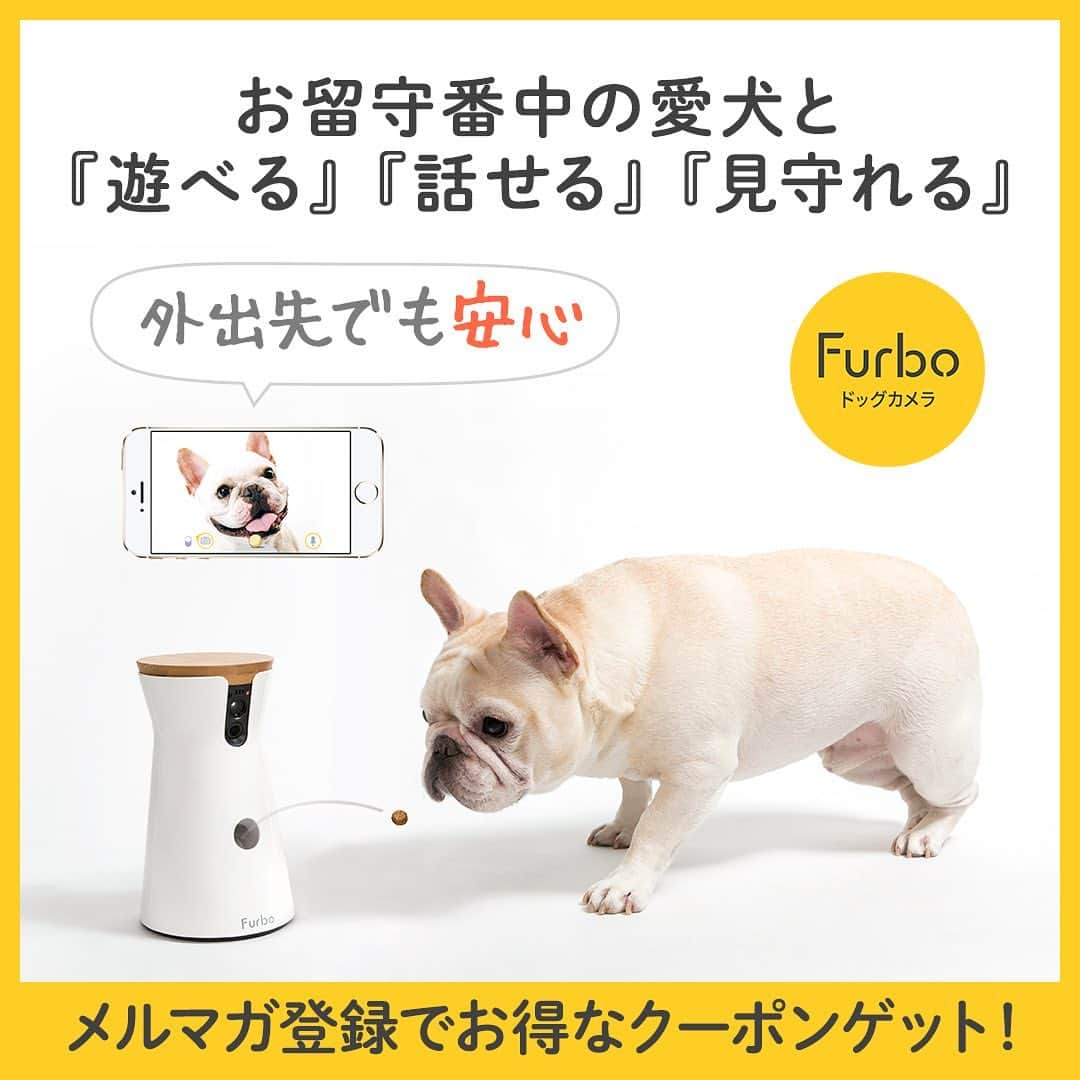 Furbo ドッグカメラさんのインスタグラム写真 - (Furbo ドッグカメラInstagram)「🐶「ママ！ファーボでいつも見守ってくれてありがとう❤️」⁠⠀ ⁠⠀ 👩「こちらこそ！いつもおりこうにお留守番してくれてありがとう❤️」⁠⠀ ⁠⠀ 🎥：@lily0316am⁠⠀ ⁠⠀ ⁠⠀ Furboはお留守番中の愛犬を見たり、話しかけたり、おやつもあげられる高機能ドッグカメラです。⁠⠀ 世界10か国で販売されているベストセラー商品です。⁠⠀ ⁠⠀ スマホ、タブレットの専用アプリを介して、お留守番している愛犬と繋がることができます。⁠⠀ ⁠⠀ 詳しくは⁠⠀ @furbo_japan⁠⠀ のURLよりご確認ください！⁠⠀ ⁠⠀ #ファーボは見た⁠⠀ #ファーボでお留守番できるもん⁠⠀ での投稿や「@furbo_japan」のタグ付け投稿でシェアされるかも！⁠⠀ ぜひご参加ください！⁠⠀ ⁠⠀ ⁠⠀ ⁠⠀ ⁠⠀ #わんこのいる生活 #わんこのいる暮らし #愛犬グッズ  #ドッグシッター #furbo #ファーボ」8月14日 12時02分 - furbo_japan