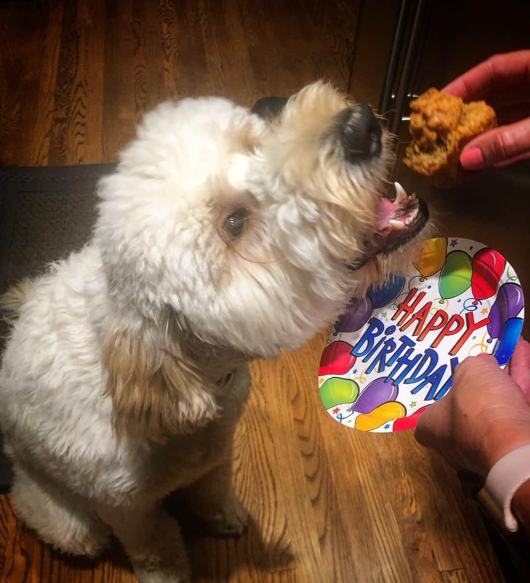 Terry Matalasさんのインスタグラム写真 - (Terry MatalasInstagram)「Happy Birthday to the bestest girl.」8月14日 12時19分 - terrymatalas