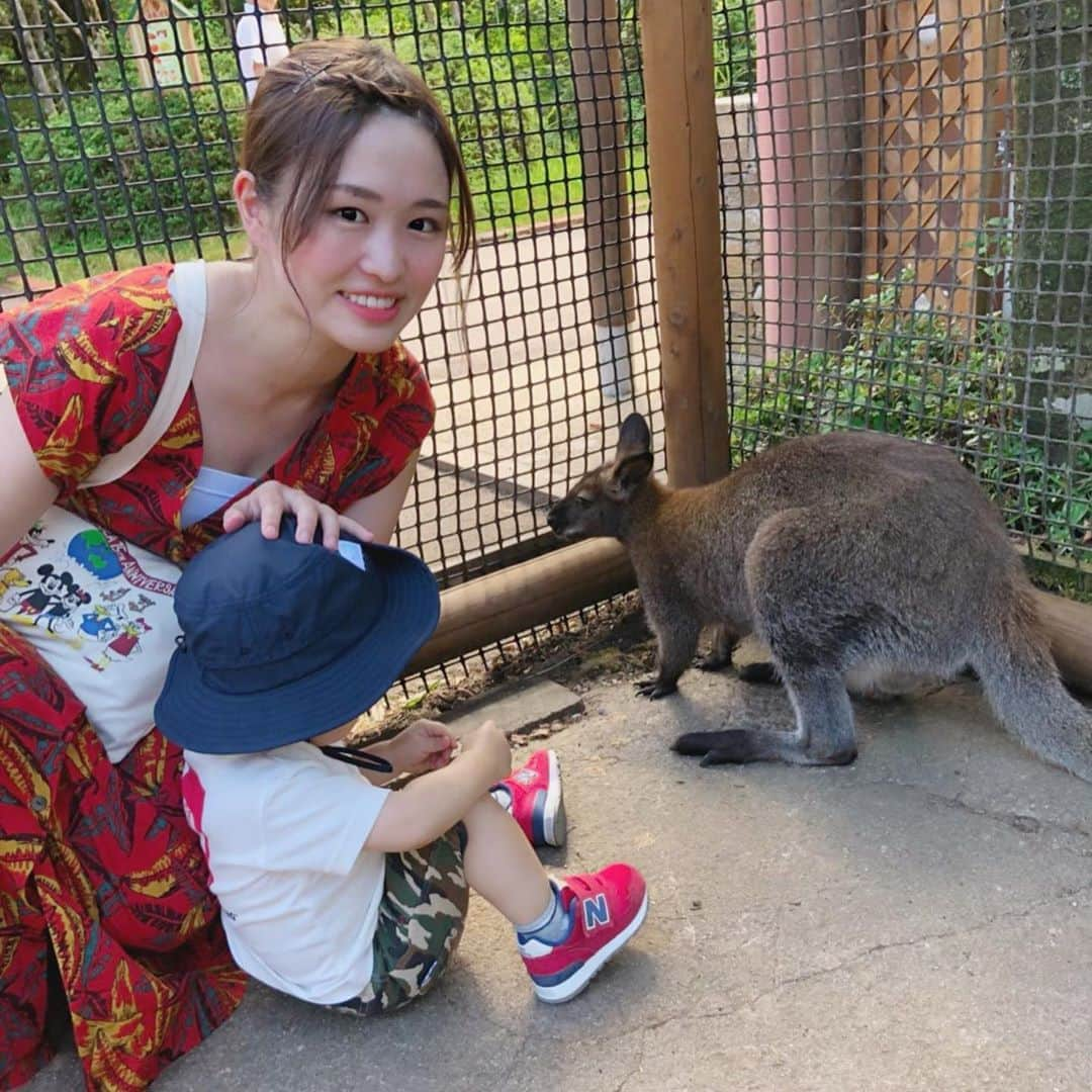 伊藤かりんさんのインスタグラム写真 - (伊藤かりんInstagram)「. . . 昨日は姉夫婦に #富士サファリパーク に 連れて行ってもらいました🦓🦒🐘 . . #ライオンキング を観たあとに #サファリパーク で#ライオンの赤ちゃん に 会えることを知り、どうしても行きたくなり、 姉夫婦を巻き込んで👋 . . ライオンの赤ちゃんめっちゃ可愛かった😭 小さかった😭💖 でも係りの人が 「この子達はもうお肉を食べて居ますので 気をつけてくださいね〜😊」 って言っててちょっと怖かった(笑) . #ティモン と#プンバァ も居たよ✨ でもプンバァは全然近くで見られなかった🤣🐗 . . でも1番興奮したのはトラ🐅！ イケメンだった🐅🐅🐅🐅✨ すき🐅✨✨✨✨ . . . 甥っ子も楽しんでくれててよかった💖 . . . . そして初めて行けたよ！ #さわやか #さわやかハンバーグ 🐮！ . #げんこつハンバーグ  安いのに、すっっっごく肉肉しくて 最高に美味しかった💖 また絶対行きたい💖けど人気過ぎ🤣💖 でもまた絶対行く💖 . . . そんな私のお盆休みでした🦁」8月14日 12時23分 - karin___ito