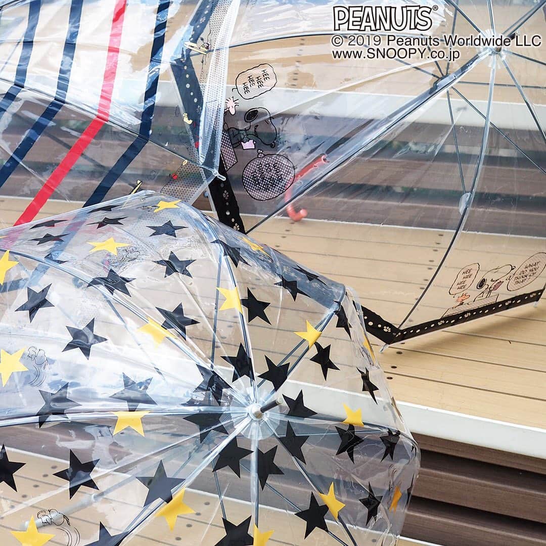 ワンズテラスのグルメインスタ