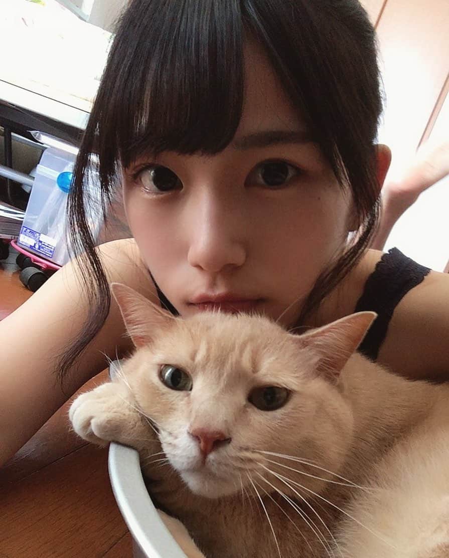 村上りいなさんのインスタグラム写真 - (村上りいなInstagram)「だらだらしよ。。🥰 #cat #instagood #love #followme #ponytail #selfie #family #可愛 #我的最愛 #帅气 #赞」8月14日 13時05分 - riina_murakami