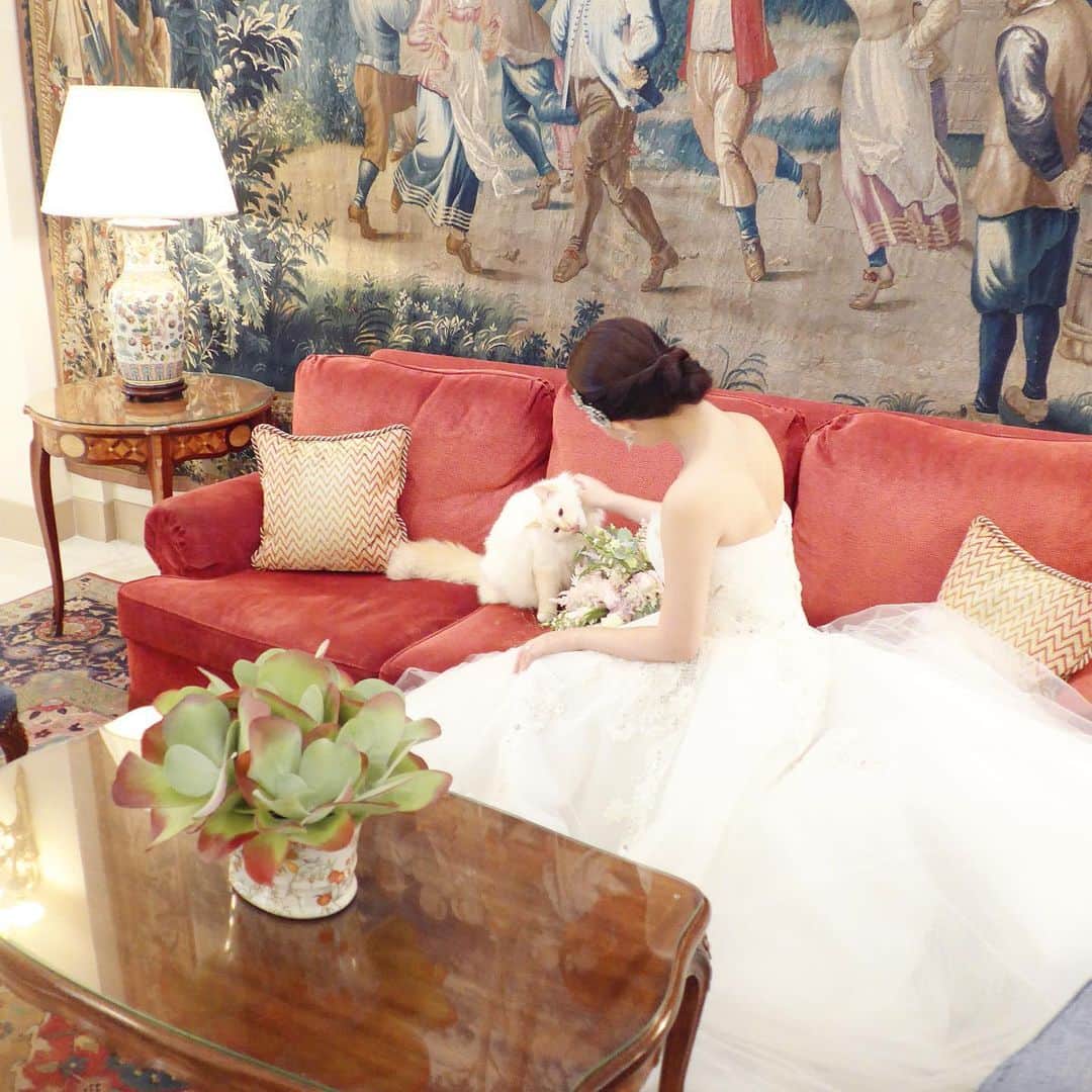 田中麻衣さんのインスタグラム写真 - (田中麻衣Instagram)「ブーケ食べてる😂 ホテルのスタッフによると、葉っぱが好きみたい。 #llebristolparis #ルブリストルパリ #weddingphoto #ウェディングフォト」8月14日 13時34分 - maitanaka1217