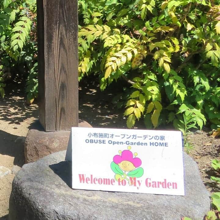 公明党さんのインスタグラム写真 - (公明党Instagram)「長野県の小布施町は「まちづくり」で有名です。 町並みに花が植えられ、「オープンガーデンの家」の看板があるお宅では素敵なお庭を公開しています。 「おぶせまちじゅう図書館」は本が読めるオープンスペースで、観光客はお茶を飲みながら本を読み、子どもたちは夏休みの宿題を。  #優しさ がある #まちづくり #信州　#長野県　#小布施町　#信州おぶせまちじゅう図書館　#小布施町オープンガーデンの家　#皆さん親切　#女子旅　#旅　#癒される　#子どもたち　#夏休みの宿題　#cafe　#子育て　#まちとしょテラソ　#素敵　#SDGｓ　#本　#books  #千日草 #flowers #flowerstagram #公明党」8月14日 14時18分 - komei.jp