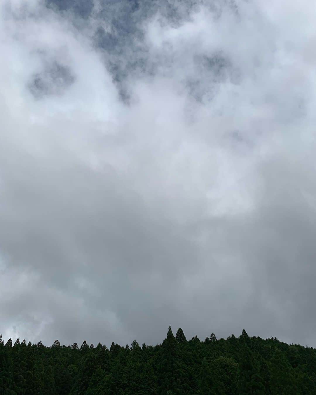 リプリー王子さんのインスタグラム写真 - (リプリー王子Instagram)「2019.08.14 #0814ripleyn 高野山！ 28℃！涼しい！ 雨降ったり止んだり。 2枚目 笹巻きあんぷ。 うまー！ . #高野山」8月14日 14時49分 - ripleyn