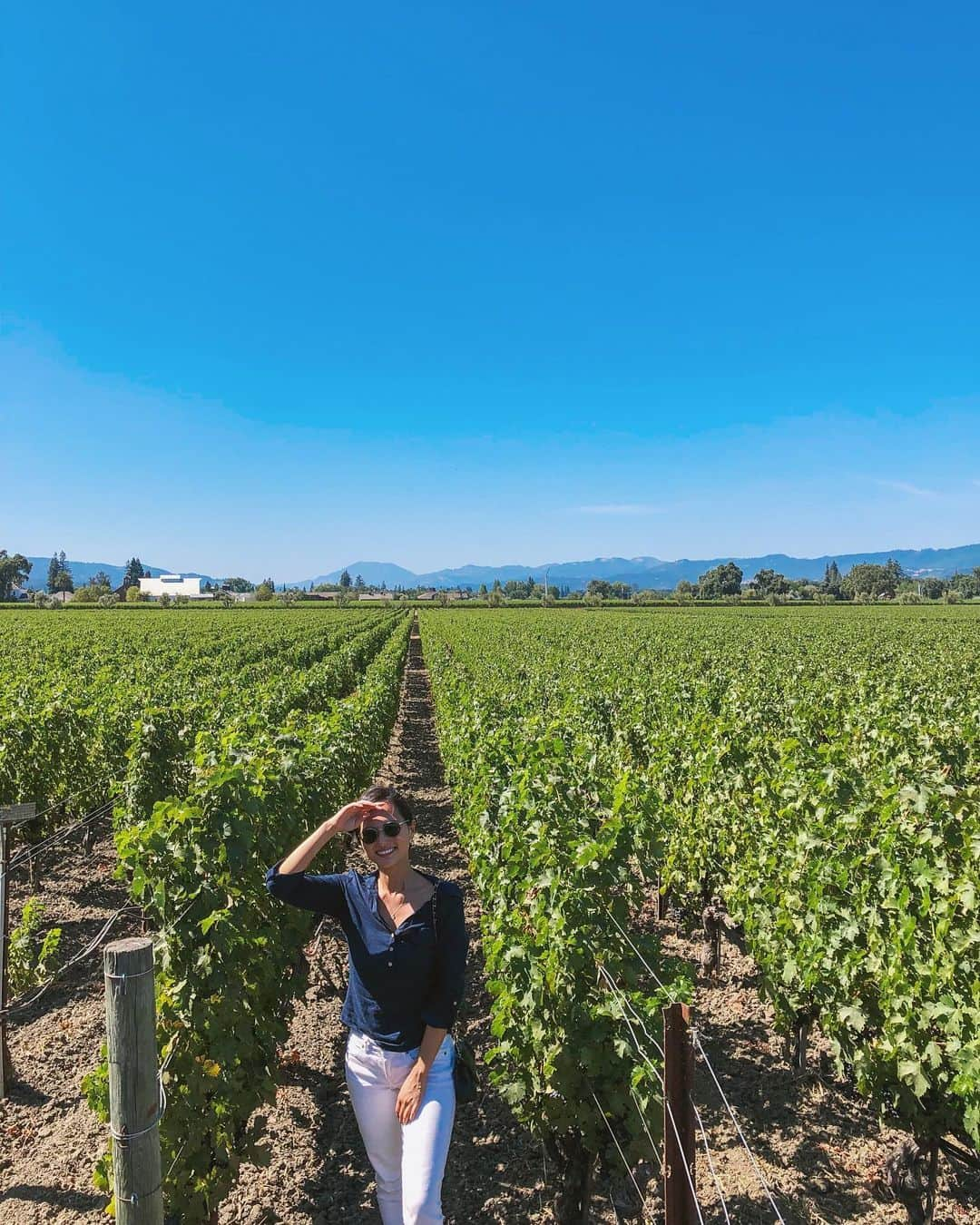 山賀琴子さんのインスタグラム写真 - (山賀琴子Instagram)「Napa valley! OPUS ONEのワイナリー、MONDAVI WINERYへ。  沢山ワインを試飲して、いい気分🍷 来てよかった😊」8月14日 15時16分 - kotokoyamaga