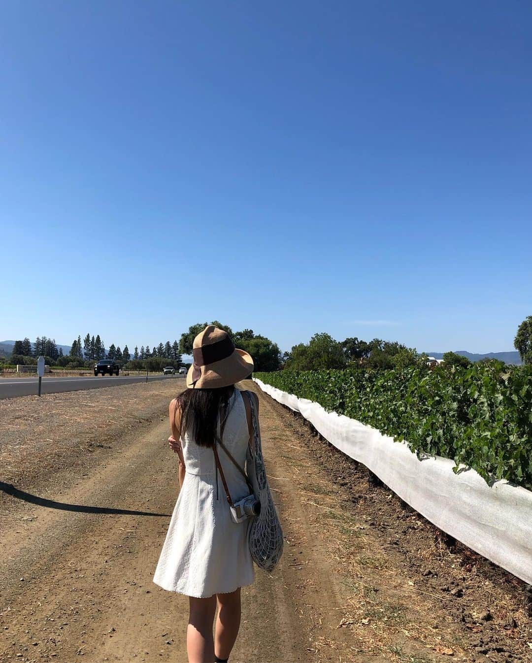 山賀琴子さんのインスタグラム写真 - (山賀琴子Instagram)「Napa valley! OPUS ONEのワイナリー、MONDAVI WINERYへ。  沢山ワインを試飲して、いい気分🍷 来てよかった😊」8月14日 15時16分 - kotokoyamaga