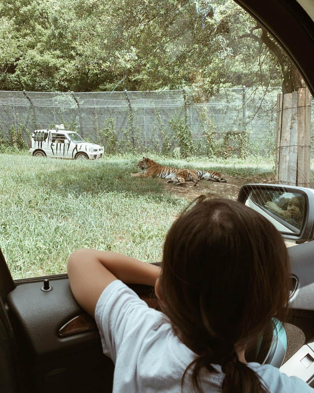 のインスタグラム：「今年も姫路セントラルパークのサファリへ🐆🦓🦒🐘 去年はお留守番してた次男も今年は参加👶🏻 今一番、動物や海の生き物や乗り物が好きなお年頃。 目の前の動物に目をまん丸にして喜んでました❤️ そんな楽しそうな息子達とは対照的に、37度の暑さに耐える動物達はALLグッタリ。 ・ ・ ・ #姫路セントラルパーク #姫路セントラルパークサファリ #サファリパーク #safari #ライオン  #ひめせん #himejicentralpark #姫セン #男の子ママ #son #5歳3ヶ月 #5yearsold #2歳1ヶ月 #夏休み#猛暑 #夏の思い出」