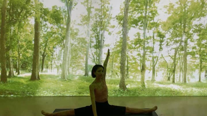 のインスタグラム：「@hotyoga_loive 銀座店へ。。。 初めてのプロジェクトマッピングの中でのヨガ。 snsの時代だからこそ見たい情報と見たくない情報まで入って来てしまう中、一旦マインドリセットをして心を休める事が大切だなと気づかされるクラスでした。 程よく森の香りと鳥のさえずりの音。。。心地良すぎて究極に癒されました。。 #beautyoflife__eri #ヨガ#yoga」
