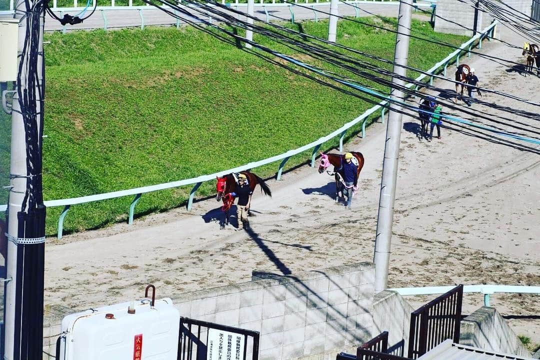 脇田唯さんのインスタグラム写真 - (脇田唯Instagram)「列んだ列んだ  #フォトうま #門別競馬場 #地方競馬 #北海道競馬」8月14日 16時16分 - post_yui