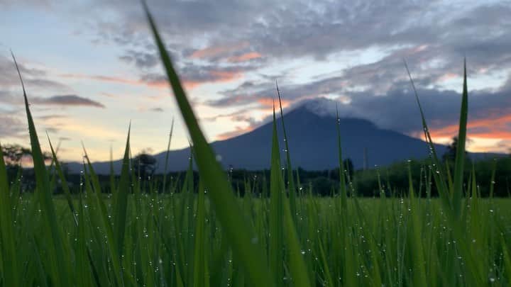 phantastic420のインスタグラム：「. 🤩🤩“Shizuoka” prefecture in Japan is a place where you can see the most “phantastic” Mt. Fuji🗻 in the world.🤩 #富士山 #mtfuji #japan #shizuoka #fujinomiya  #phantastic420photography #mostphantasticmtfuji #selamatpagi  #goodmorning  #おはようございます 😇😇😇😇😇😇😇🗻😇😇」