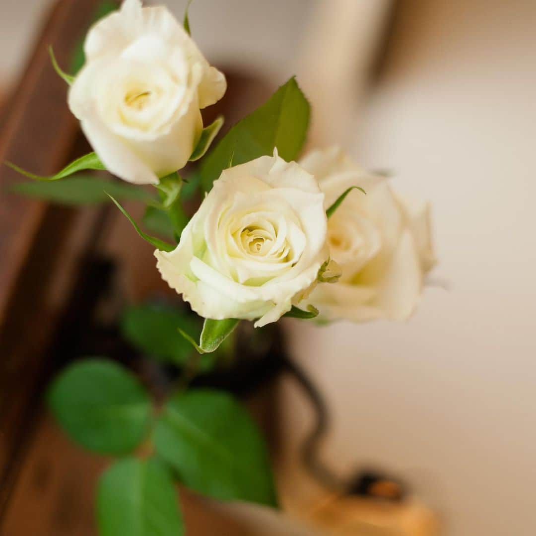 のインスタグラム：「20年間毎日かかさずチャペルのお花をいれかえてきました。 扉が開いた瞬間の生花の香りは、新郎新婦やゲストを優しく包み込みます。  #chapelledesangesminamiaoyama #chapel #wedding #bridal #happywedding #lilyrose #タカミブライダル #ルアンジェ教会  #南青山ルアンジェ教会 #教会 #結婚式 #ウエディング #ブライダル #花嫁  #プレ花嫁 #ルアンジェ花嫁 #チャペル挙式 #教会式 #バージンロード #バージンロード装花 #大理石  #キャンドル #白バラ #生花」