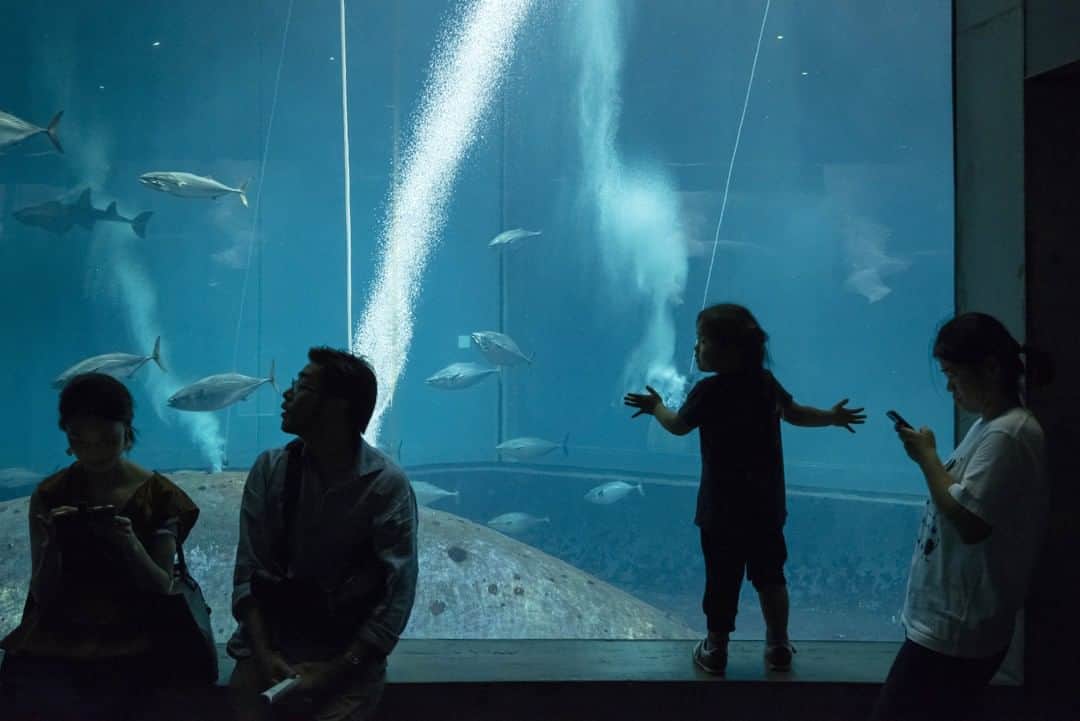 東京都庁広報課のグルメインスタ