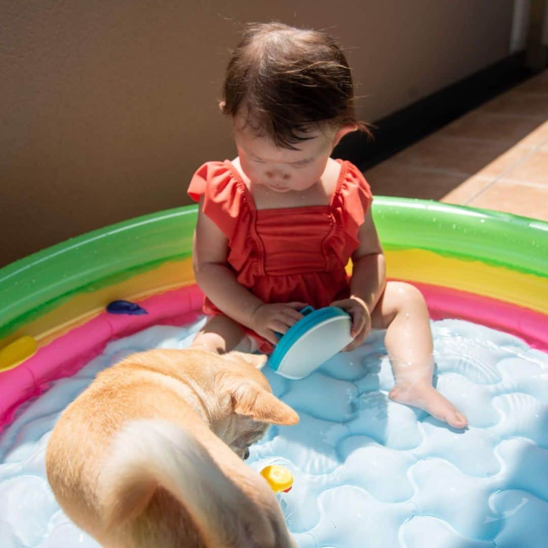 巴田みず希さんのインスタグラム写真 - (巴田みず希Instagram)「プール開き🐥✨ ・ 小晴くんも一緒に ・ 座ったままお水パシャパシャっ ・ まだ遊んでるという感じには程遠い😂 ・ でもこの暑さの中、お水遊びは楽しいね✨ ・ ・ ・ #プール開き #ベランダでプール #夏だね #summer #pool #ワンと一緒 #いつも一緒がいいね #赤ちゃんとお出かけ #赤ちゃんと犬のいる生活 #赤ちゃんのいる生活 #12ヶ月 #12monthsbaby #whatabeautifulday #育児 #子育て #幸せな時間 #30代初ママ #新米ママと繋がりたい #ママリ #女の子ママ #1歳 #babygirl」8月14日 17時10分 - mizukitomoda