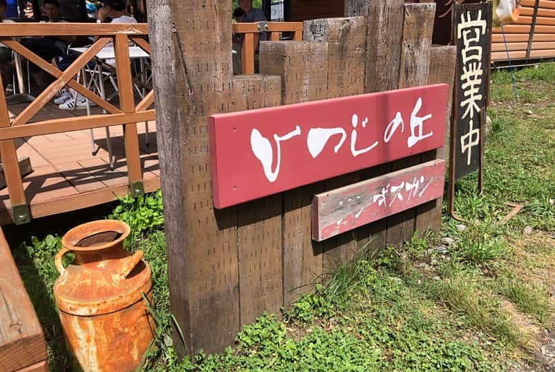 yuukii.iさんのインスタグラム写真 - (yuukii.iInstagram)「今年の夏休みは北海道へやってきました＼(^o^)／北海道に来たら外せない #ひつじの丘 でジンギスカン！！ いっぱい食べてお腹いっぱい♡ #北海道#家族旅行#夏休み」8月14日 17時08分 - yuukii.i