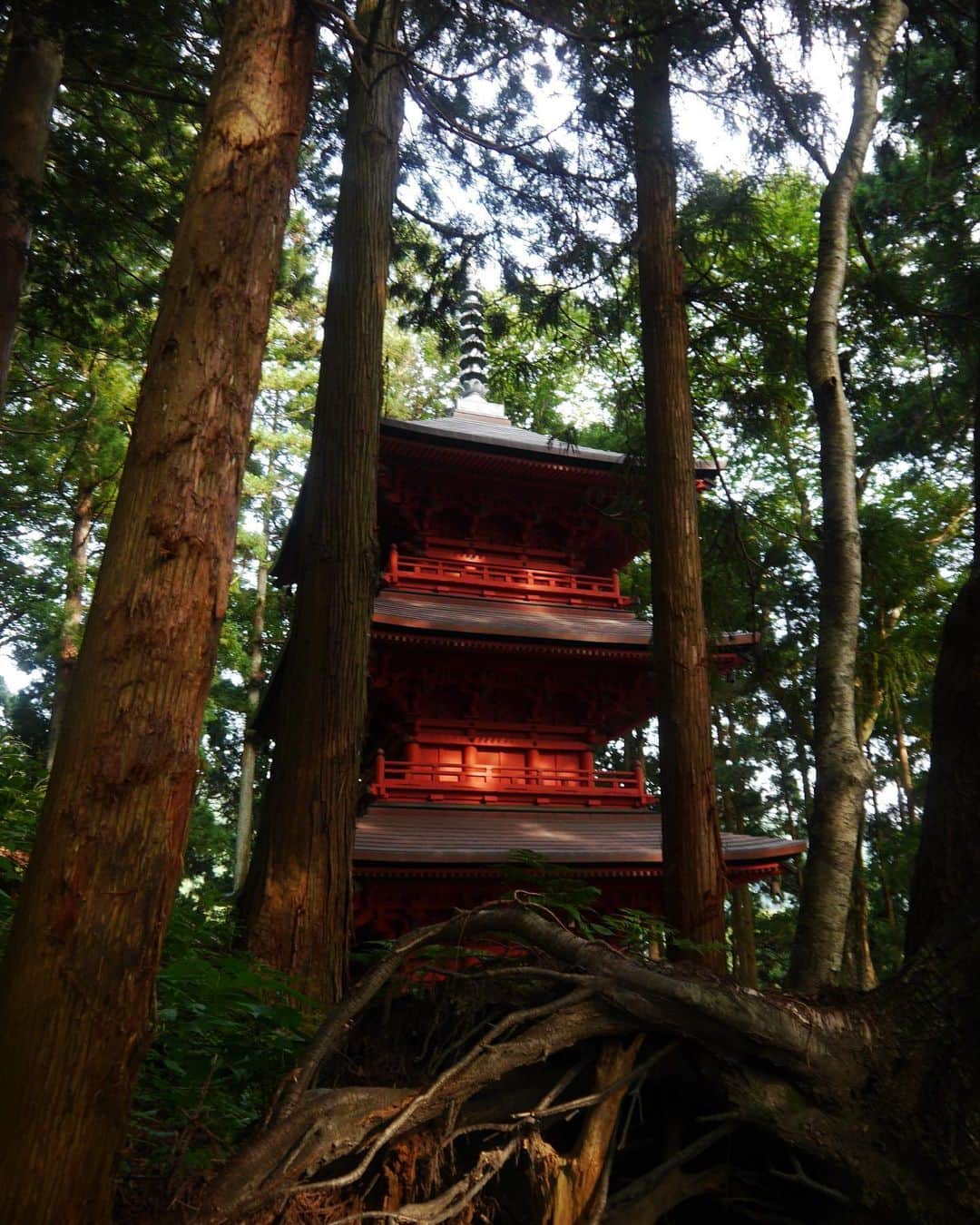 Rediscover Fukushimaさんのインスタグラム写真 - (Rediscover FukushimaInstagram)「Want to escape from the summer heat? How about exploring the impressive temples of Mt Kohata in rural Nihonmatsu Town? Not only will the shade of the towering trees keep you cool, but it also makes for a great location to take photos!」8月14日 17時08分 - rediscoverfukushima