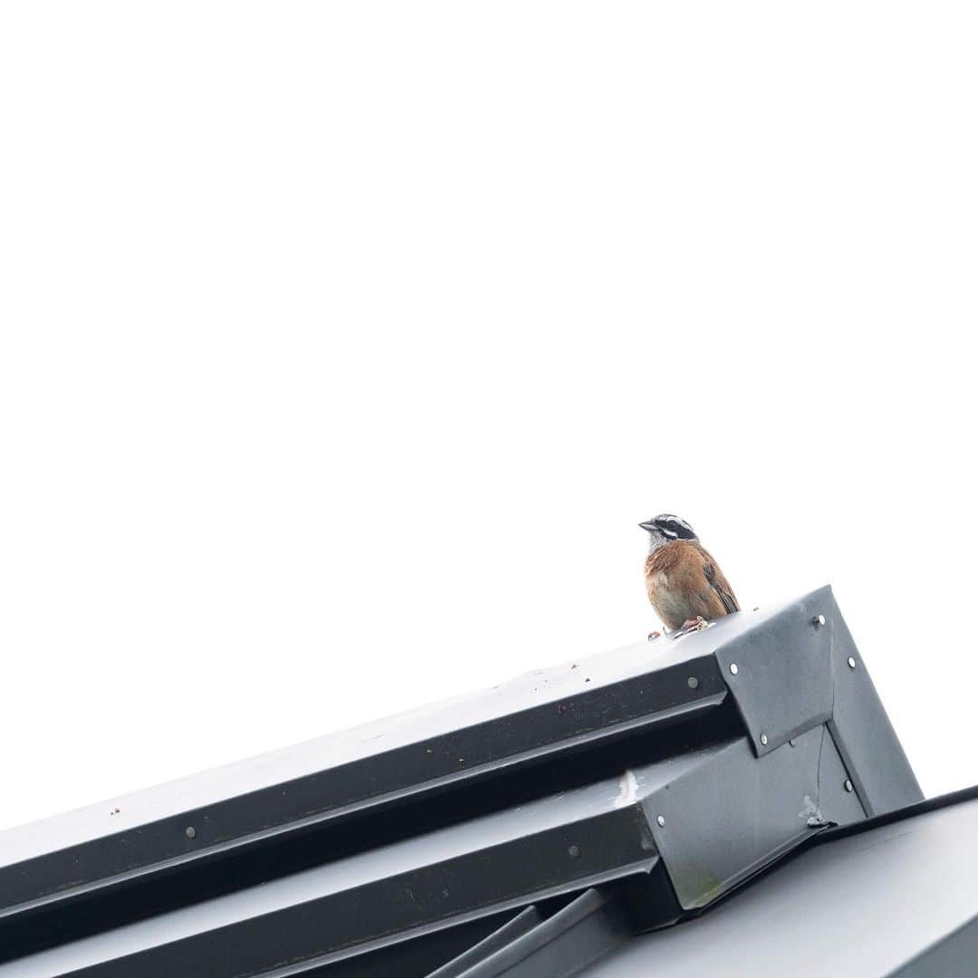 山人のグルメインスタ