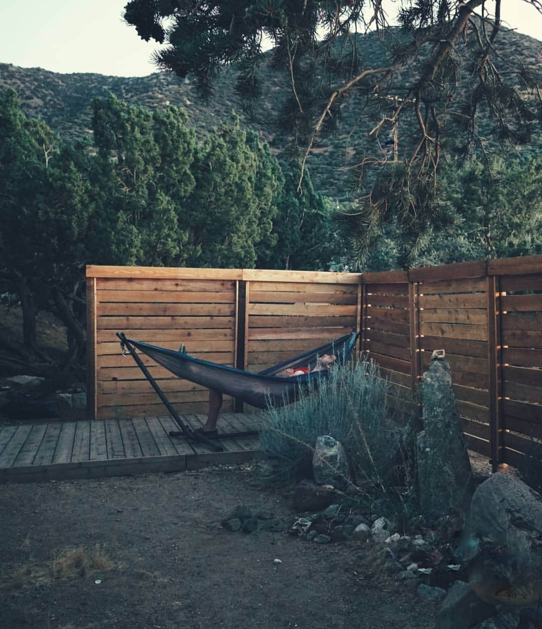 のインスタグラム：「People in hammocks are pre-wrapped grizzly snacks.」