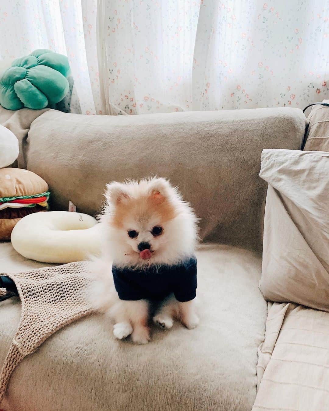 r_oseのインスタグラム：「B L E P !! 🐰〰️」