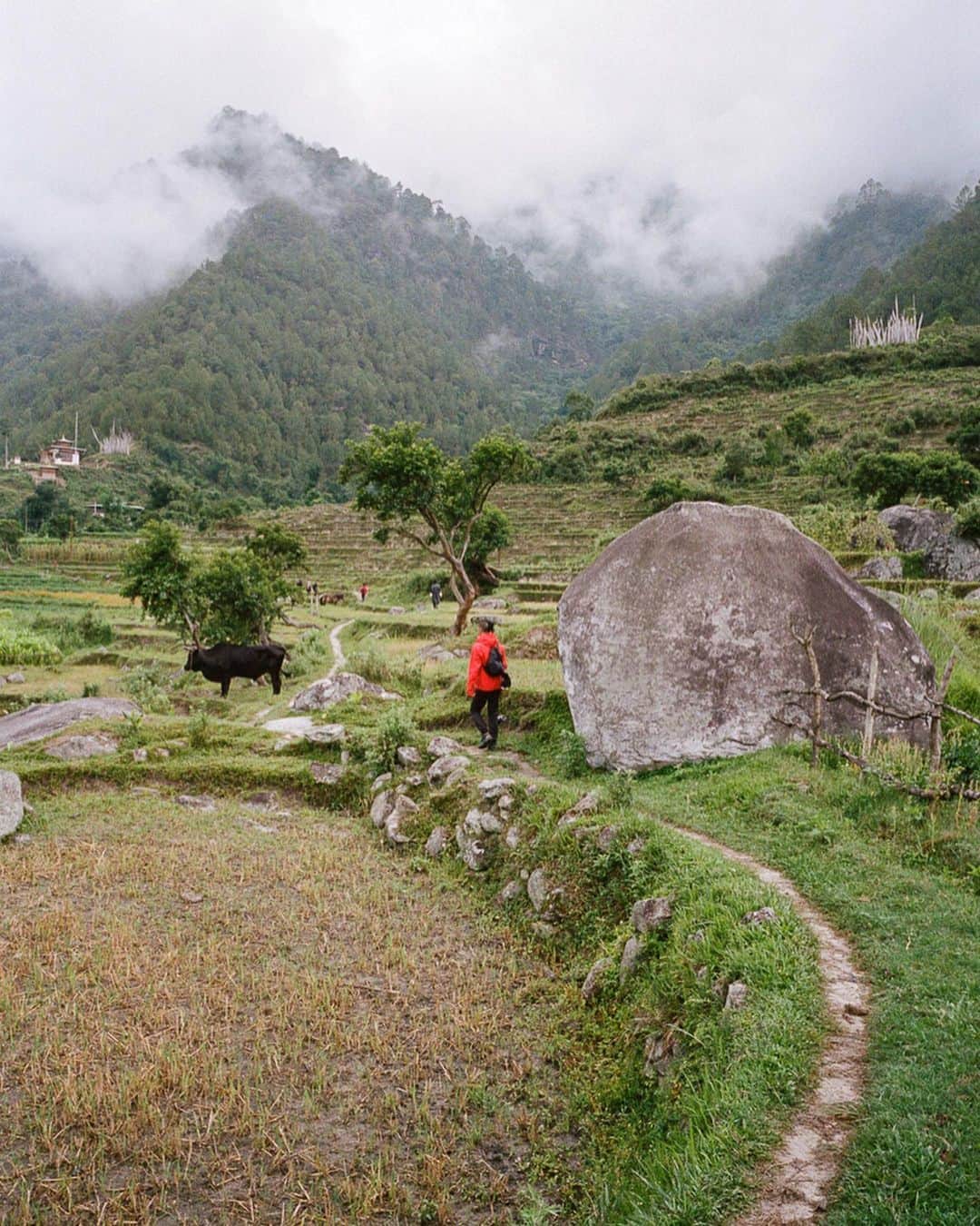 アークテリクスさんのインスタグラム写真 - (アークテリクスInstagram)「The pursuit of “true happiness, enlightenment and fulfillment in life.” Head to the link in our bio to read more about the lessons @hyotkim learned while exploring Bhutan, a “beautiful, carbon-neutral country with the happiest and purest people I’ve ever met.” 📸: @michaelturek #arcteryx」8月15日 2時52分 - arcteryx