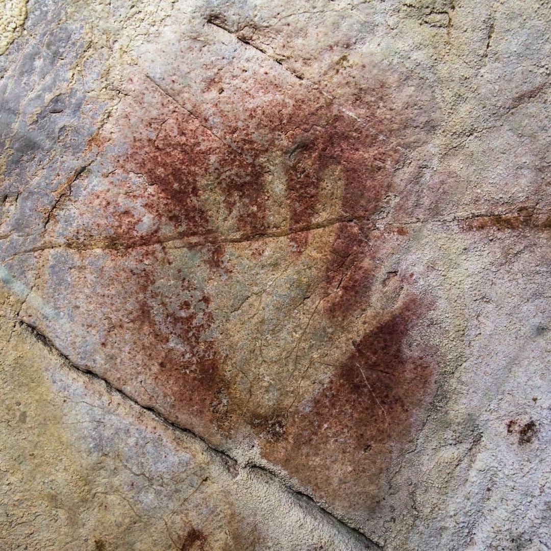 TED Talksのインスタグラム：「This is a negative image of a handprint, one of the oldest signs to appear in caves. They were most common during the earlier parts of the Ice Age (between 22,000 and 40,000 years ago). To make them, early humans would place their hand on a cave wall and spit paint over and around it. While scientists don’t definitively know the meaning of the image, some theorize that it was an early form of sign language or made to state “I am here.” The negative handprint is one of 32 signs repeatedly used by our ancestors across Europe, as documented by paleoarchaeologist and @TEDFellow Genevieve von Petzinger. To learn more about these mysterious markings, visit the link in our bio.  Photo courtesy of Dillon von Petzinger」