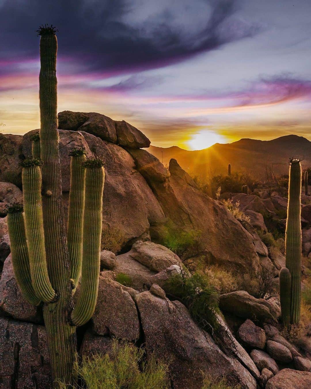 リッツ・カールトンさんのインスタグラム写真 - (リッツ・カールトンInstagram)「A brilliant sunrise paints the skies, creating a magical backdrop as @TravelWriteDraw captures the beauty of the desert on canvas during our stop at The Ritz-Carlton, #DoveMountain. View our Instagram Stories to see more inspiring moments from her journey. ⁣ ⁣ #Marana #Arizona #SonoranDesert #AZ #Desert #Sunrise #Art #Painting #Magical #Cactus #Artist #Travel #Travelgram #InstaTravel #TravelDiaries #RCPartner」8月15日 3時21分 - ritzcarlton