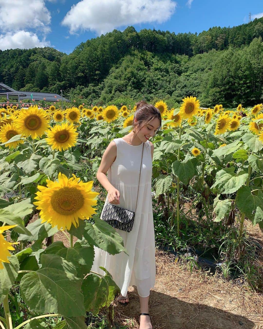 鍋谷真子さんのインスタグラム写真 - (鍋谷真子Instagram)「まぶしい🔥🔥🔥毎年行くひまわり畑🌻 台風どころか全然あっつい🌞 #お盆休み #家族旅行 #ひまわり畑 #ootd #dior #ワンピース」8月14日 19時27分 - jj_mako