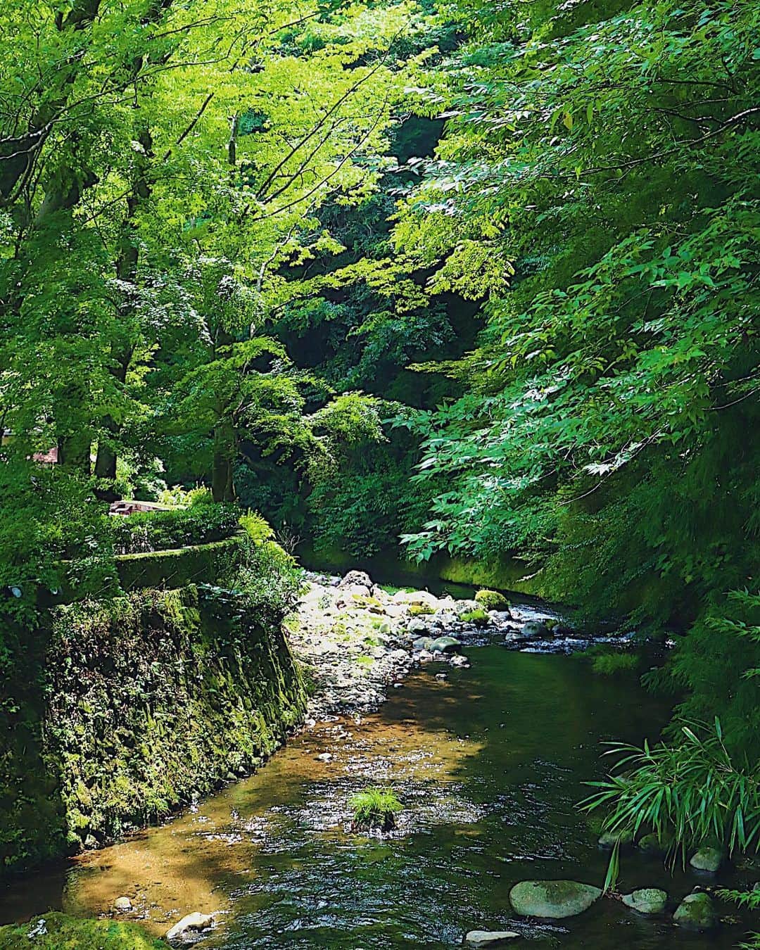 フランスアンティーク ランスタンのグルメインスタ