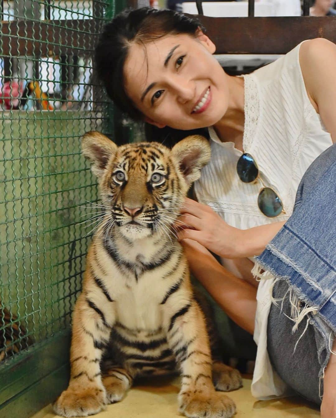 和泉佑三子さんのインスタグラム写真 - (和泉佑三子Instagram)「生後2カ月のベビーちゃんタイガー🐯めちゃくちゃ可愛かった...けど眠くてご機嫌斜めだった様子😰 #タイガーキングダム #ベビータイガー #逃げる #怒る #あくびする #寝る #最後は良いショット📷」8月14日 20時01分 - izumisae_official