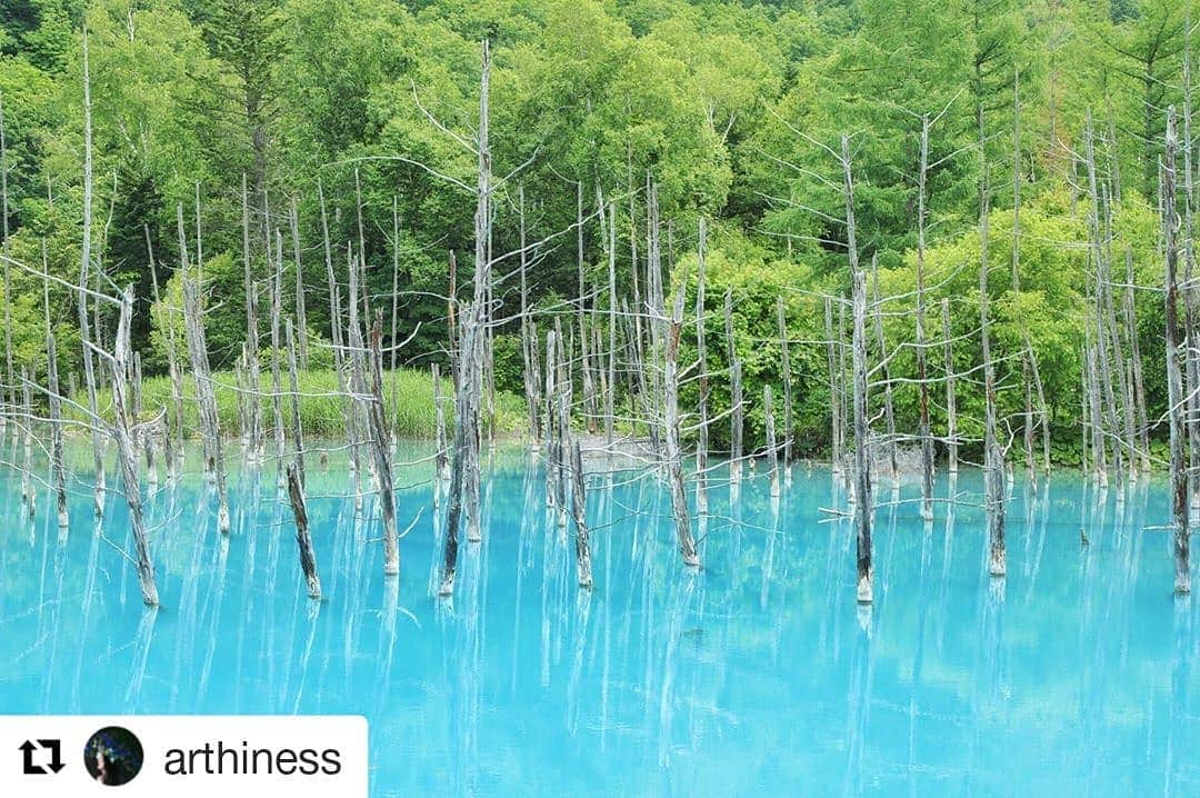 東京カメラガールズさんのインスタグラム写真 - (東京カメラガールズInstagram)「・ 今回のフィーチャーは @arthiness さん✨ ご投稿ありがとうございます！ そして、おめでとうございます！！ これからもお写真の投稿楽しみにしています🧡 ・ ・ ぜひ皆さんも、#カメラガールズ #東京カメラガールズ をつけて投稿してみてくださいね📸✨ 素敵な写真を見つけ次第、こちらのアカウントでご紹介させていただきます😍💕 ・ #北海道カメラガールズ #名古屋カメラガールズ #博多カメラガールズ #大阪カメラガールズ #沖縄カメラガールズ #50mm #単焦点 #ポートレート #カメラ女子 #portrait #写真 #写真家  #カメラが好きな人と繋がりたい #写真が好きな人と繋がりたい #写真好きな人と繋がりたい #ファインダー越しの私の世界 #一眼レフ #カメラ初心者 #カメラ部 #部活 #ミラーレス #コンデジ」8月14日 20時12分 - tokyocameragirls