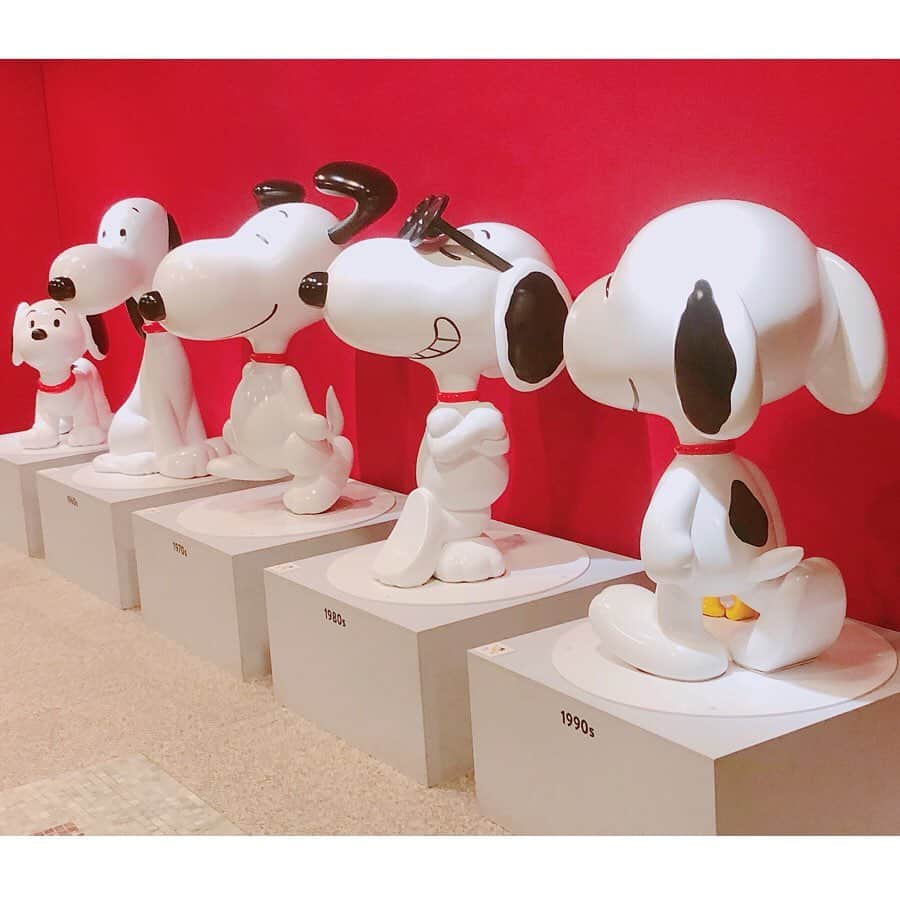 犬塚志乃さんのインスタグラム写真 - (犬塚志乃Instagram)「・ 念願の #スヌーピーミュージアム展 🥺 マスコットにイラスト、アニメーション動画…と スヌーピが盛りだくさん🥺🥰❤️ 可愛くて癒された〜 ・ がしかし、 スヌーピーはお兄さんにお嫁さんをとられた 過去があるだなんて…😂😭💦 スヌーピの過去がなかなか凄まじい。 ・ ・ ・ #名古屋市博物館 #スヌーピー #スヌーピー展 #スヌーピーミュージアム名古屋 #名古屋 #癒し #l4l #like4like #follow #me #instagirl #girl #instadaily #followme #love #enjoy #happy #犬塚志乃」8月14日 20時12分 - inuaya_42