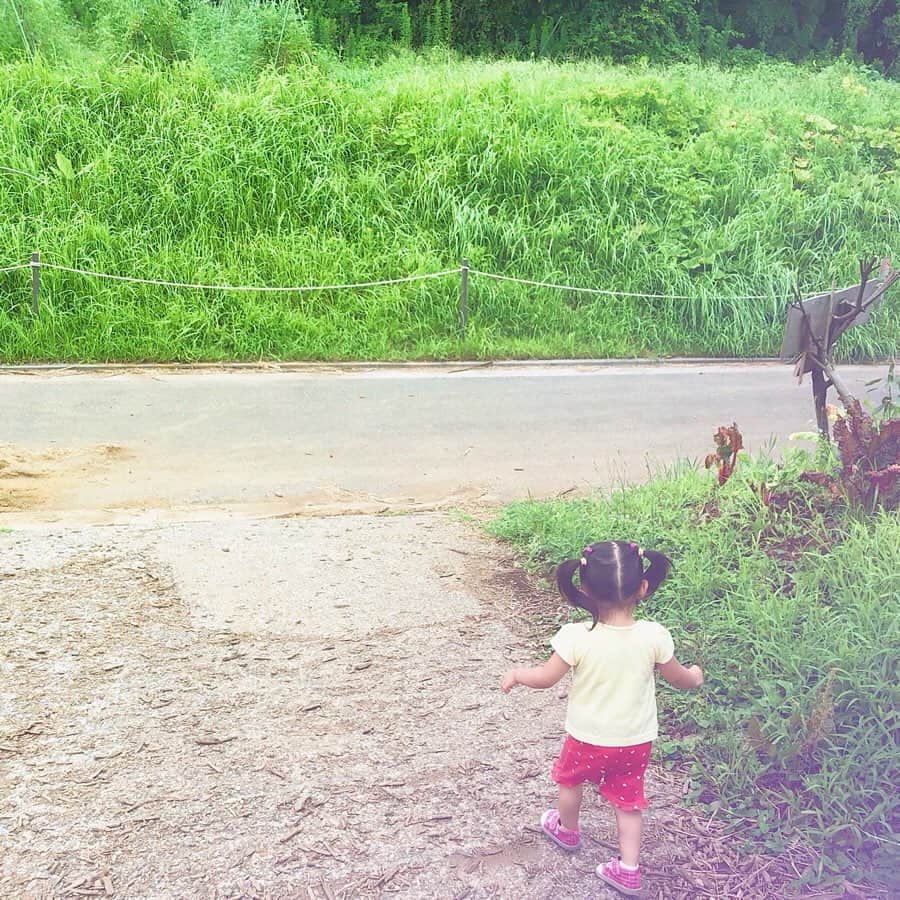 のインスタグラム：「となりのトトロのメイちゃんと トトロが住んでる森 みたい👧🌳」
