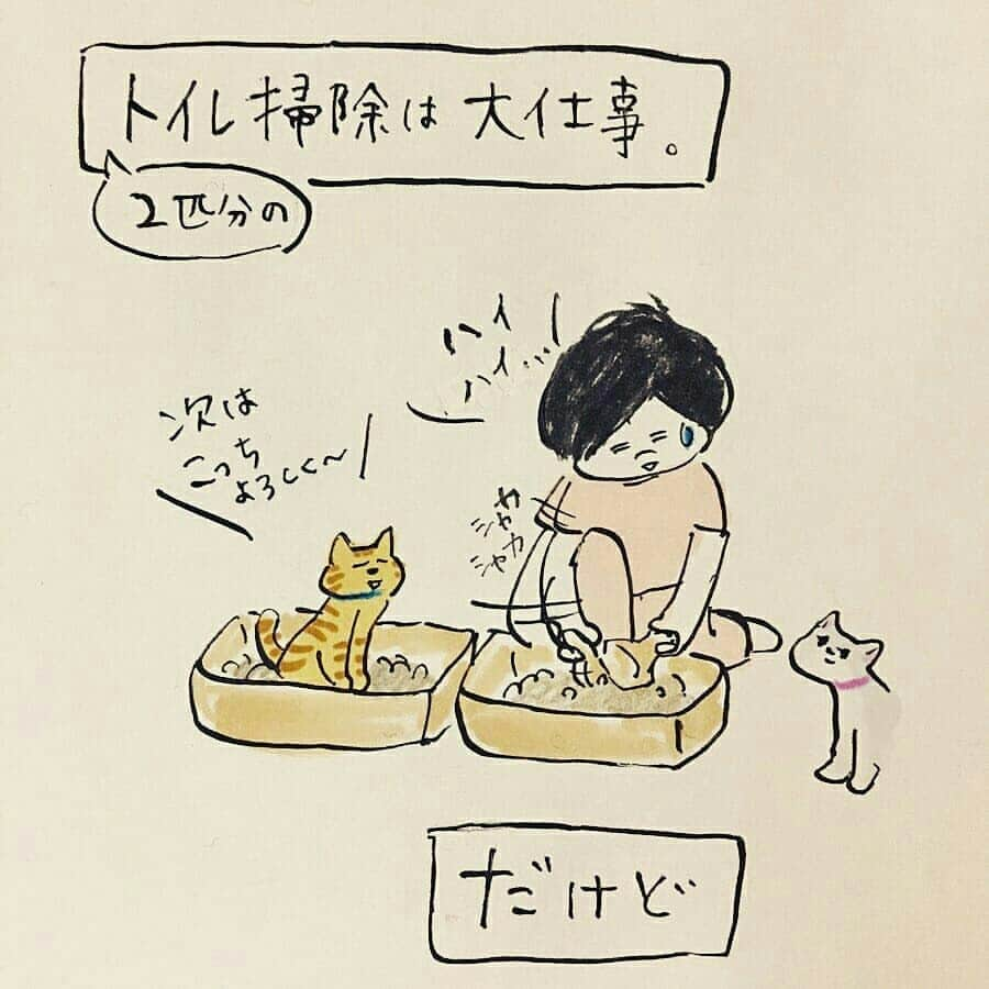 猫壱（ねこいち•ネコイチ）さんのインスタグラム写真 - (猫壱（ねこいち•ネコイチ）Instagram)「. . 猫あるある🐱 ▫ ▫ #大変なことも我慢もあるけど #やっぱり猫が好き #猫沼は深いのです ▫ ▫ :::::::::#猫壱 ::::::: 猫壱は猫と人との暮らしの向上を目指して猫グッズの開発に取り組んでします♪ 色々な猫グッズを販売✨ 気になる方は @necoichicojp をチェックしてみてくださいね！ ▫ ▫ 【Special thank-you💕💕💕💕】 ▫ Repost from @pecori39 and @necopecori  Illustrat by @hanautamu」8月14日 20時19分 - necoichicojp