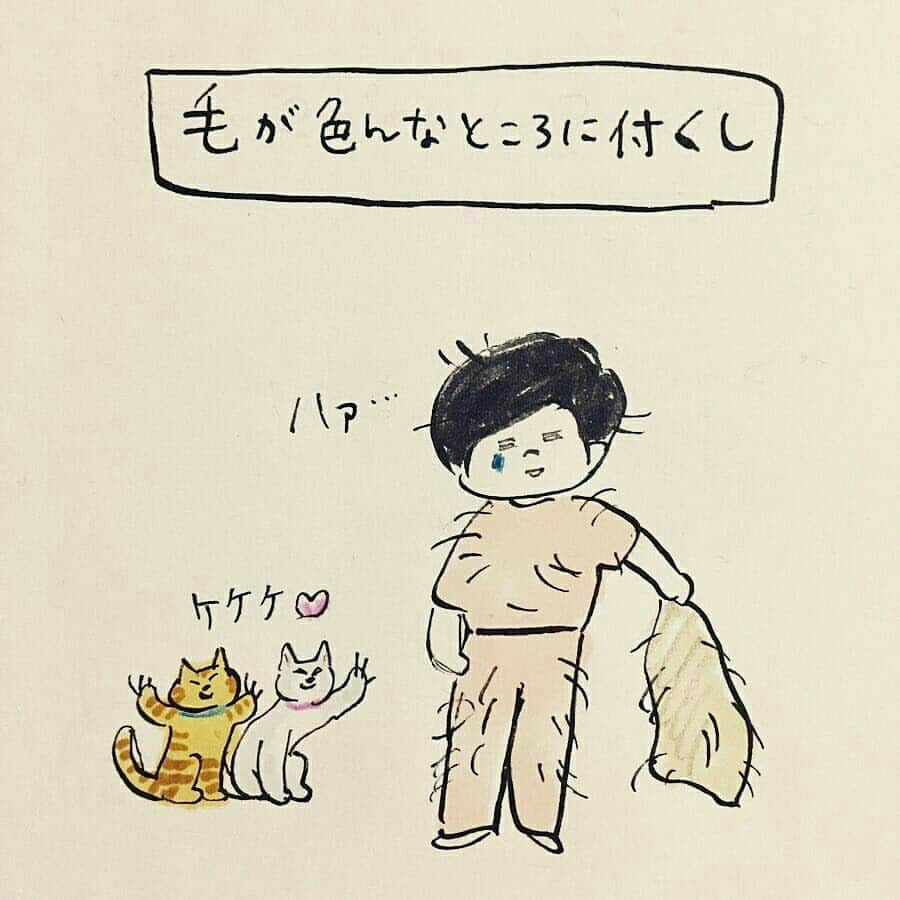 猫壱（ねこいち•ネコイチ）さんのインスタグラム写真 - (猫壱（ねこいち•ネコイチ）Instagram)「. . 猫あるある🐱 ▫ ▫ #大変なことも我慢もあるけど #やっぱり猫が好き #猫沼は深いのです ▫ ▫ :::::::::#猫壱 ::::::: 猫壱は猫と人との暮らしの向上を目指して猫グッズの開発に取り組んでします♪ 色々な猫グッズを販売✨ 気になる方は @necoichicojp をチェックしてみてくださいね！ ▫ ▫ 【Special thank-you💕💕💕💕】 ▫ Repost from @pecori39 and @necopecori  Illustrat by @hanautamu」8月14日 20時19分 - necoichicojp