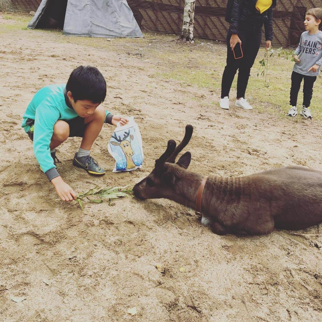 蒼井里紗さんのインスタグラム写真 - (蒼井里紗Instagram)「今週からはヘルシンキを離れて、 ロヴァニエミという北極圏の町に来ています。  山を散策。 エノクや野うさぎやリスと出会えました。  #フィンランド  #フィンランド旅行  #ラップランド  #ロヴァニエミ  #家族で海外  #3人育児奮闘中」8月14日 20時19分 - risaoi328