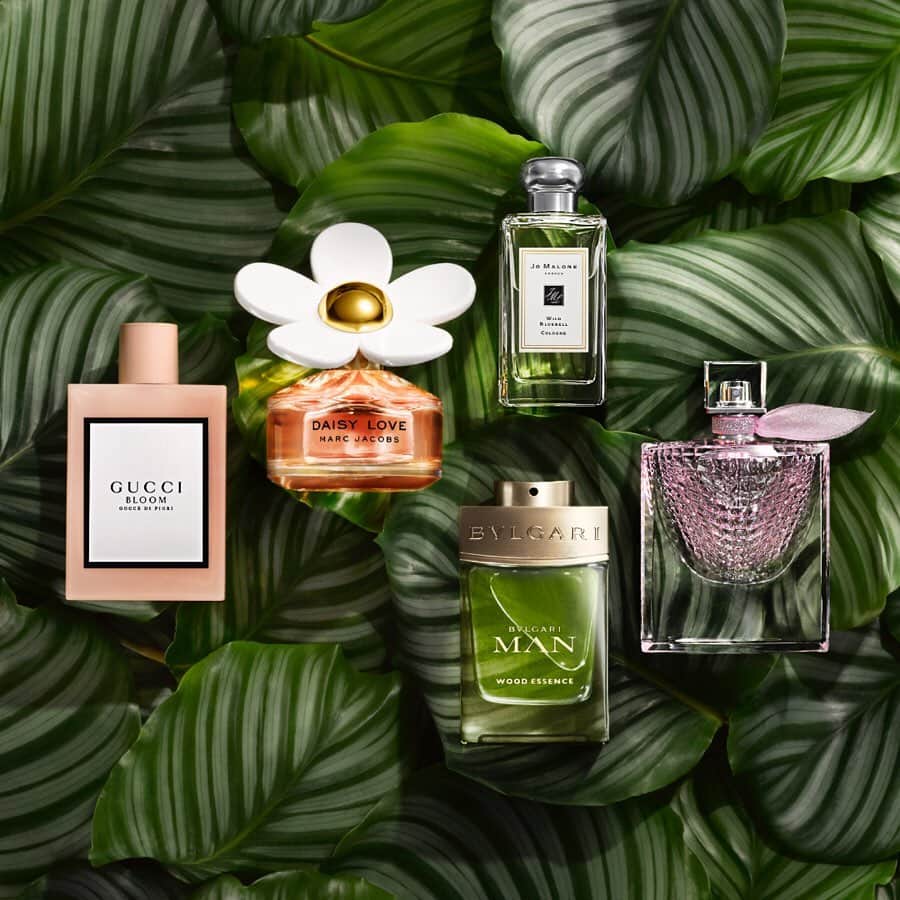 DFS & T Galleriaさんのインスタグラム写真 - (DFS & T GalleriaInstagram)「With earthy eyeshadows and energizing essences, discover skincare inspired by nature to take you from the lush forests of Cairns to the majestic mountains of Auckland.  #FirstClassBeauty #TGalleria #ShopDutyFree」8月14日 20時31分 - dfsofficial
