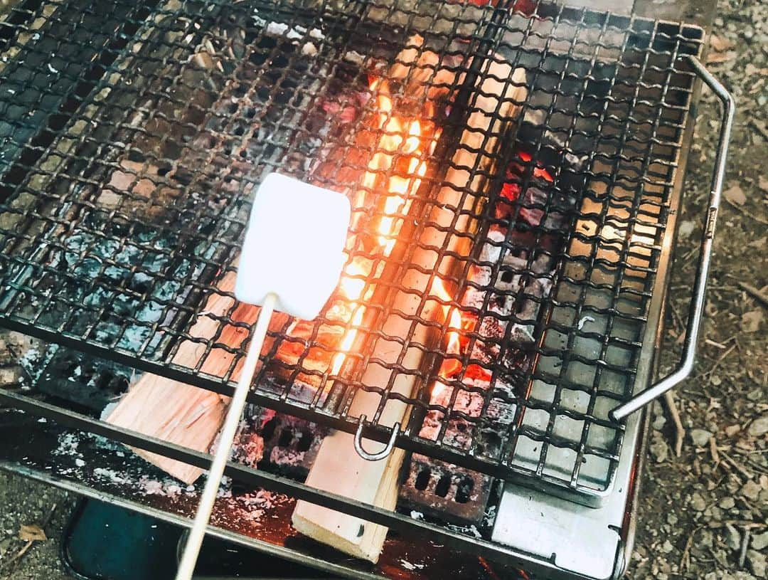 宮﨑香蓮さんのインスタグラム写真 - (宮﨑香蓮Instagram)「先日、キャンプデビュー⛺️🌲 しちゃったよ！！！！！ 火にカルシファーと名付け 火番のつとめこなしましたよ！！！ アクアパッツァもカレーも焼マシュマロも 朝のホットサンドとコーヒーも 全部最高だったんですけれど、  何よりも  火見たり星見たり🔥⭐︎🌲🕊 木に囲まれて ともだちとしゃべって だらだらご飯つついて 朝は鳥のさえずりで起きて ってのが 「「「キャンプ最高か」」」 ってなりました。 また行きたい。  最後の写真、 見ると幸せになれるんだって☺️ #キャンパーになりたい #カルシファーはともだち #キャンプ#snowpeak」8月14日 21時03分 - karen_miyazaki_official