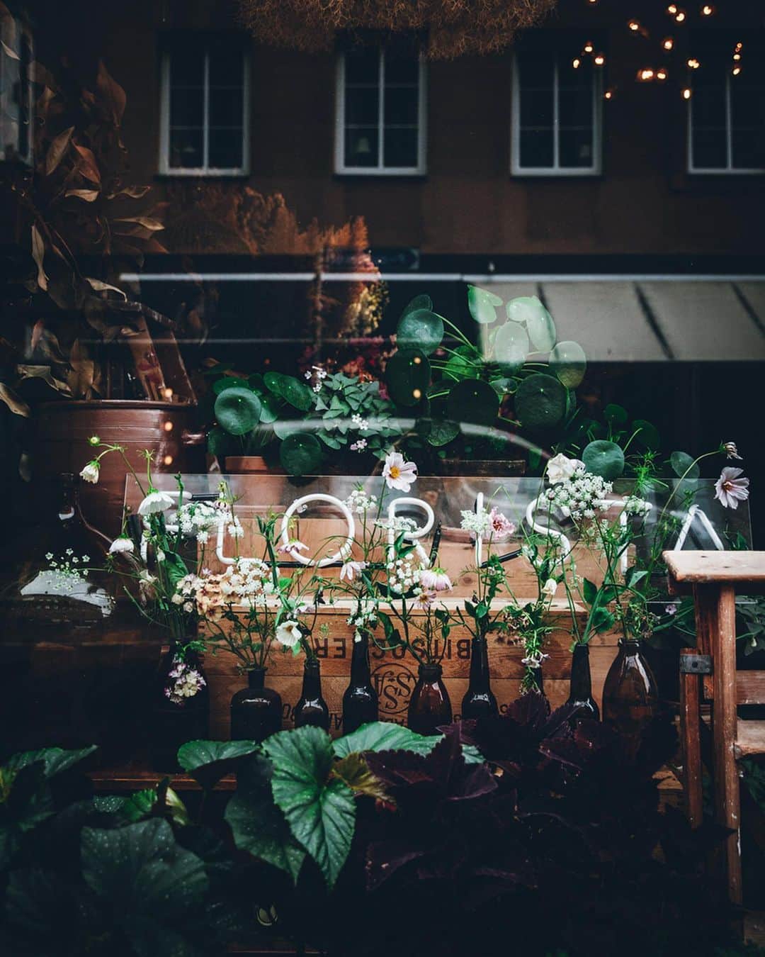 Linda Lomelinoのインスタグラム：「In paid collaboration with @malmotown - A few more favorites from my recent trip to Malmö! I finally got to visit @florista_malmo, the most beautiful flower shop ever (with the cutest shop dog ”guarding” the shop 😍😂). And the most dangerous shop of them all, @absmaland, filled with vintage furniture, ceramics, plants, good coffee and cinnamon buns 🙌🏼 #makeitmalmö」