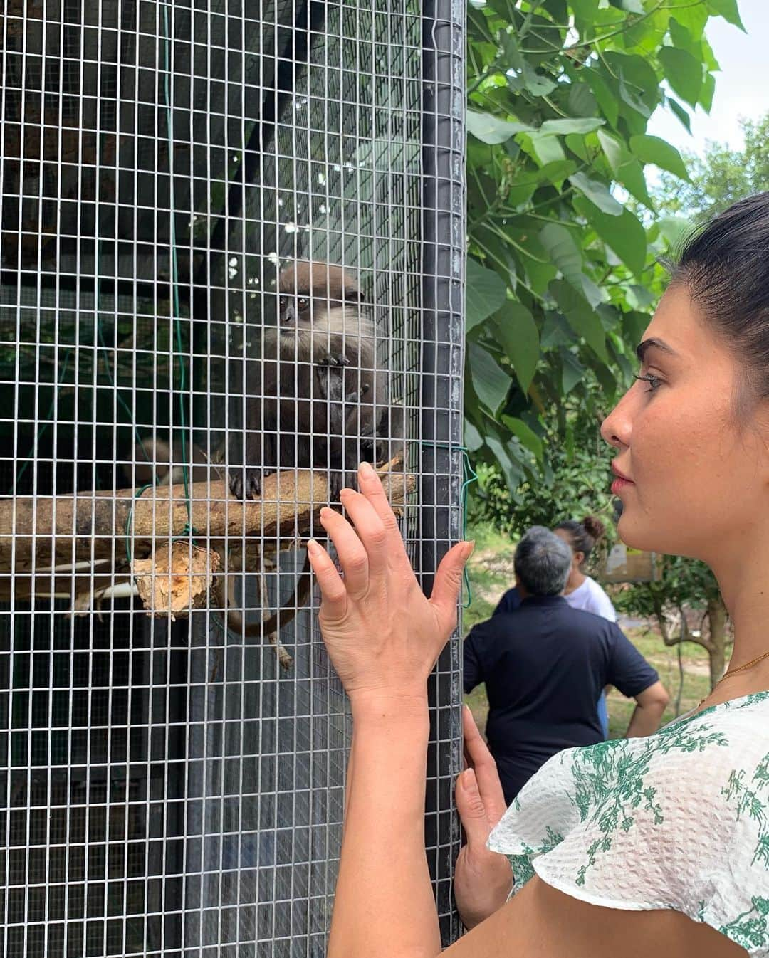 Jacqueline Fernandezさんのインスタグラム写真 - (Jacqueline FernandezInstagram)「Team Sri Lanka Wildlife Sanctuary!! So inspired by the work you do!!! Extremely proud of our first Surgery Unit by @merlingreenmagichomes @wingmanindia @supersonex @orangeelectric @wildlife_rescue_srilanka」8月14日 21時31分 - jacquelienefernandez