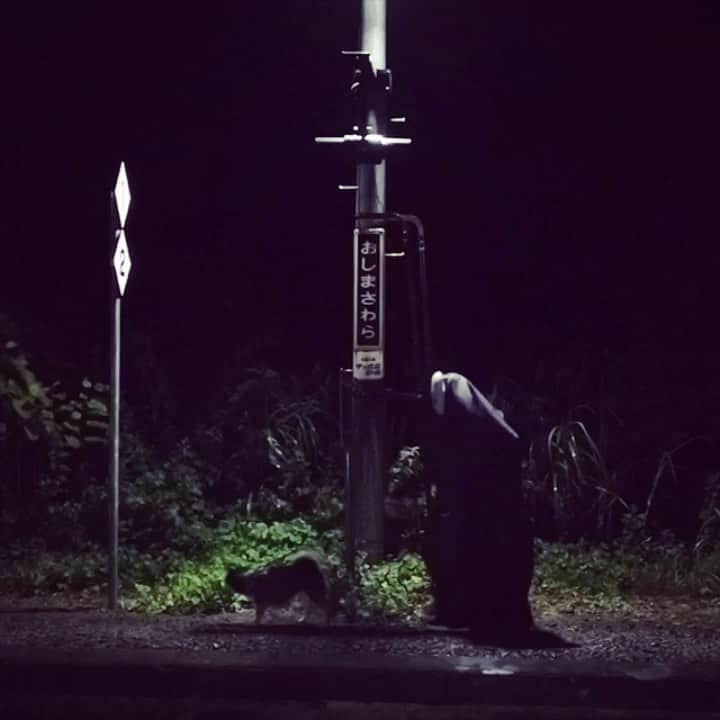 吾子のインスタグラム