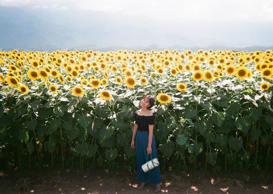 玖瑠実さんのインスタグラム写真 - (玖瑠実Instagram)「大きかったなー🌻 友達と家族と過ごす休みは幸せでした💕  #ひまわり畑 #ひまわり #film」8月14日 21時56分 - kurumi_0125_