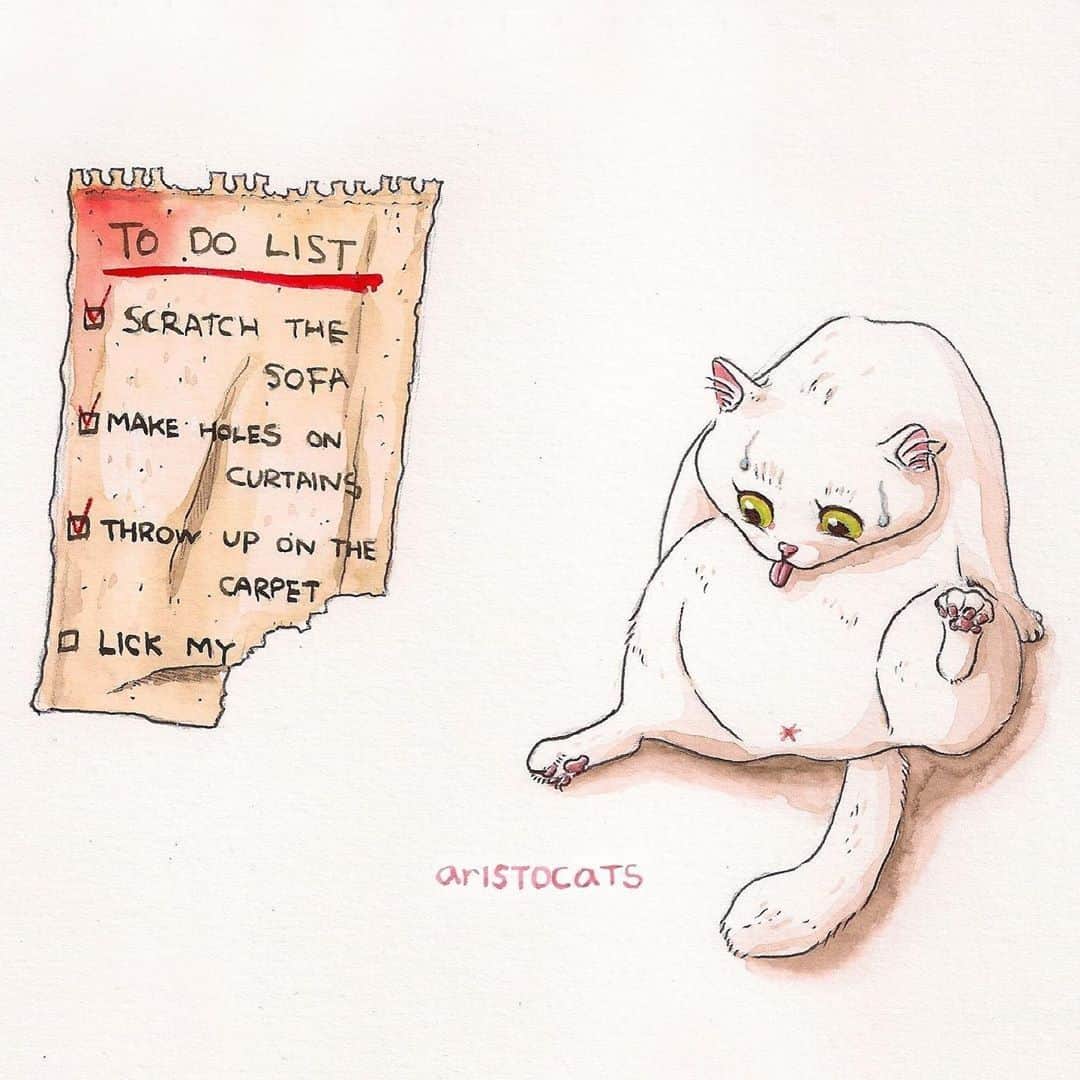 Aww Clubさんのインスタグラム写真 - (Aww ClubInstagram)「To do list ⠀ ⠀ ✍🏼@ar1stocats⠀ ⠀ #meowed #doodles #9gagmeowdle #ar1stocats #✅ #done」8月14日 22時00分 - meowed