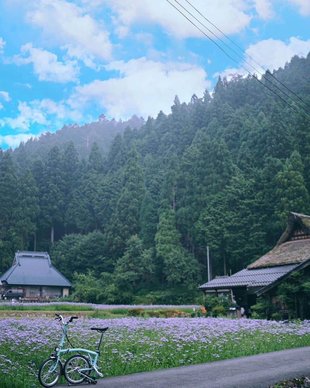 はなまっぷ❁日本の花風景さんのインスタグラム写真 - (はなまっぷ❁日本の花風景Instagram)「🌻🌺はなまっぷの夏まつり🌺🌻 * @ma_chaan_ さんの 夏の花々に花まるを💮 * 暑さに負けずに咲き誇る素敵な夏の花々をありがとうございます😊🌺 * 京都  #北山友禅菊 Kuta, Kyoto. * 🌻友禅菊の花言葉🌻 老いても元気 * 🌈•••🌺•••🌻•••🌺•••🌻•••🌺•••🌈 * 🌺はなまっぷの夏まつり🌺 〜8/31まで #はなまっぷ  のタグの中から、夏のお花のお写真をご紹介させていただきます。期間中はランダムに、複数枚投稿でもご紹介させていただく場合がございます。 * #夏#日本#花#花畑#友禅菊 * 🌈•••🌺•••🌻•••🌺•••🌻•••🌺•••🌈 *」8月14日 22時19分 - hanamap