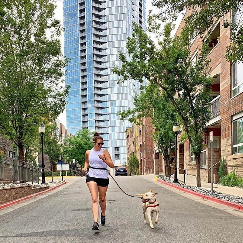 ASICS Americaさんのインスタグラム写真 - (ASICS AmericaInstagram)「Morning run club. Number of members: 2. #WinTheLongRun 📷: @justcallmephoebes // @samanthalefave」8月14日 22時43分 - asics