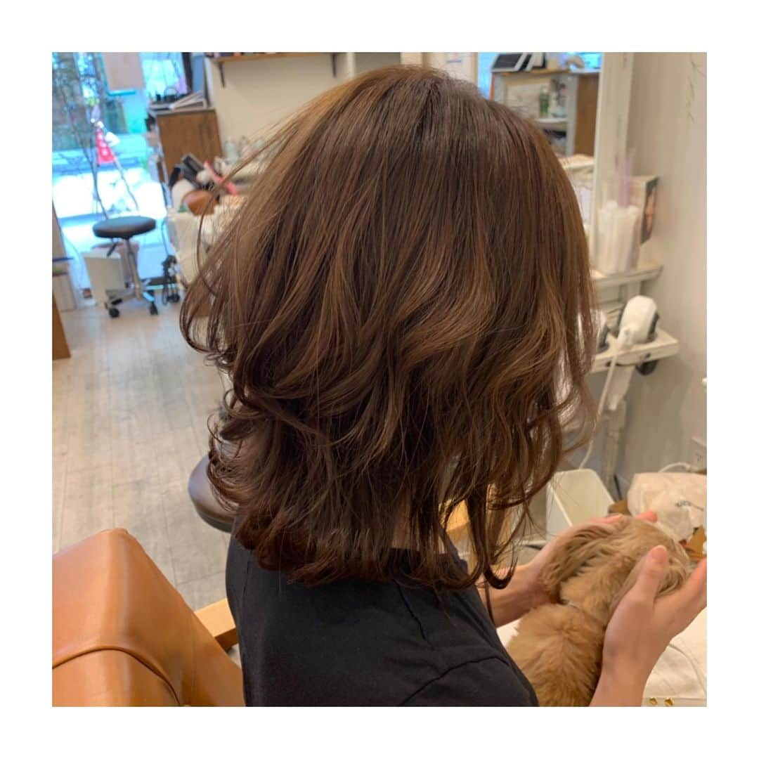 Dcolorさんのインスタグラム写真 - (DcolorInstagram)「✂︎ . . 伸ばしかけ#ボブ スタイル . 伸ばし途中だと はねてしまって気になる！！ そんな方も#外ハネ にスタイリング してあげればOK🙆‍♀️! . . #美容師 #麻布十番 #東京#銀座#六本木 #ペットOK#お子様OK #パーソナルカラー#ブルーベース  #ヘアカラー #ヘアカラーアッシュ  #ダークグレージュ #ダークアッシュ  #麻布十番祭り  #イルミナカラー #出張ヘアメイク #出張ブライダル #ヘアメイク #ヘアセット #ヘアアレンジ #ヘアスタイル #bridal #wedding #挙式 #ブライダルヘアメイク #前撮り  #mywork  @ako.dcolor」8月14日 22時44分 - hairdcolor