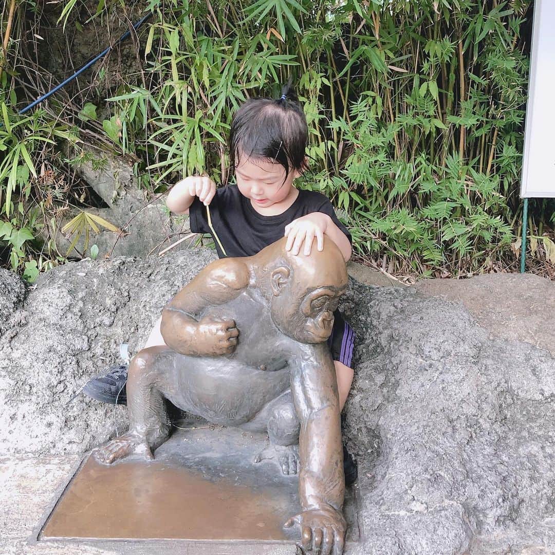 Eva Cheung☆さんのインスタグラム写真 - (Eva Cheung☆Instagram)「從細佬出世後都沒有好好陪過治童😖 所以今次到東京工作只帶上了治童 給他專屬的爸媽時間❤️～帶著他工作之餘也得抽空帶他去不同的公園玩，雖然很累～但來到他最期待的動物園，看到他很興奮地認得不同的動物 ，感覺2歲的他突然長大了很多😭 小朋友眨眼就長大 要好好珍惜相處的時光💕  #上野動物園 #Tokyo #japan #治童の日常」8月14日 23時10分 - eva_pinkland