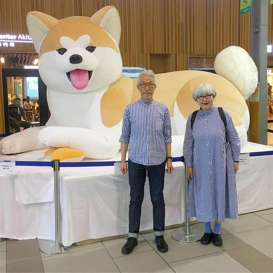 bon ponさんのインスタグラム写真 - (bon ponInstagram)「秋田へお墓参りに行って来ました。 秋田駅の大きな『なまはげ』👹と『秋田犬』🐕の前で記念撮影😊😊 秋田は暑かった〜☀️💦 ・ #秋田駅 #なまはげ #秋田犬 #夫婦 #60代 #ファッション #コーディネート #リンクコーデ #夫婦コーデ #グレイヘア #白髪 #共白髪 #couple #over60 #fashion #coordinate #instafashion #instagramjapan #greyhair #bonpon511」8月15日 0時03分 - bonpon511