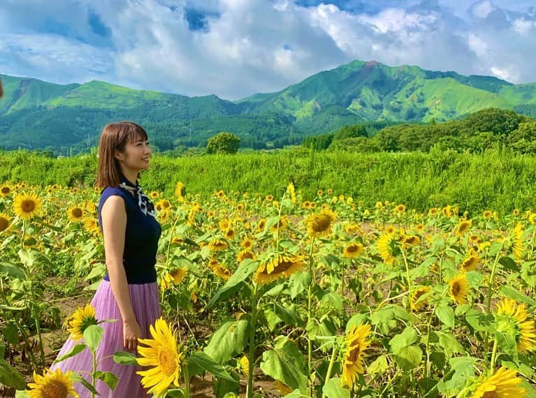 古川真奈美さんのインスタグラム写真 - (古川真奈美Instagram)「.﻿ .﻿ お盆は、熊本にお墓参りにいってきました🙏🏻﻿ その帰り道にひまわり畑に🌻﻿ ﻿ 台風の影響で結構ひまわり倒れてたけど、﻿ 元気に咲いてるひまわりも沢山いました☺️❤️﻿ ﻿ 綺麗だったな♡﻿ 西日本の皆さま台風にはお気をつけください💦💦﻿ ﻿ ﻿ ﻿ #一心行公園  #阿蘇山  #ひまわり畑﻿  #熊本 #instagood  #instadiary ﻿ #instalike #instamood ﻿ #ow #instapic #instaphoto﻿ #girl　#follow #followme  #gravure  #japanesegirl  #selfies  #インスタグラビア」8月15日 0時13分 - mana_0619